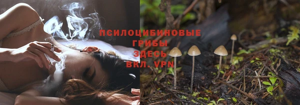 твердый Абаза