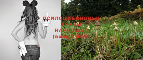 мет Алексеевка