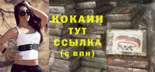 твердый Абаза