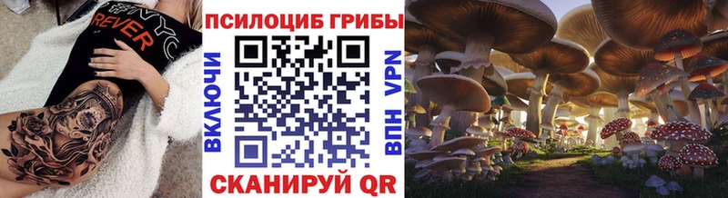 Галлюциногенные грибы прущие грибы Черемхово