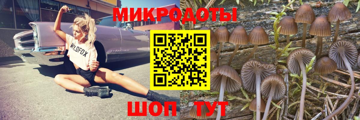 Псилоцибиновые грибы Cubensis  купить закладку  Вход с VPN  Черемхово  Галлюциногенные грибы ЛСД 